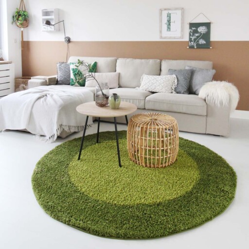 Hoogpolig vloerkleed shaggy Trend lijstmotief rond - groen - sfeer, thumbnail