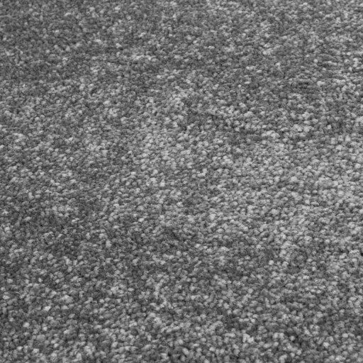 Effen vloerkleed velours Gala - donkergrijs - close up materiaal, thumbnail