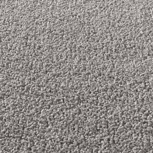 Effen vloerkleed Qualis - donkergrijs - close up, thumbnail