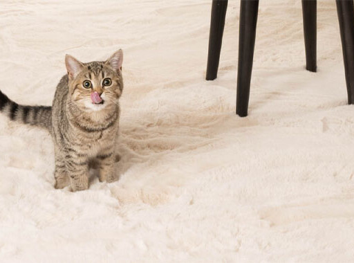 Zacht hoogpolig vloerkleed - Comfy plus - crème