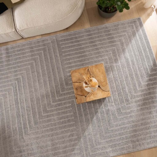 Scandinavisch vloerkleed - Contour Edge grijs