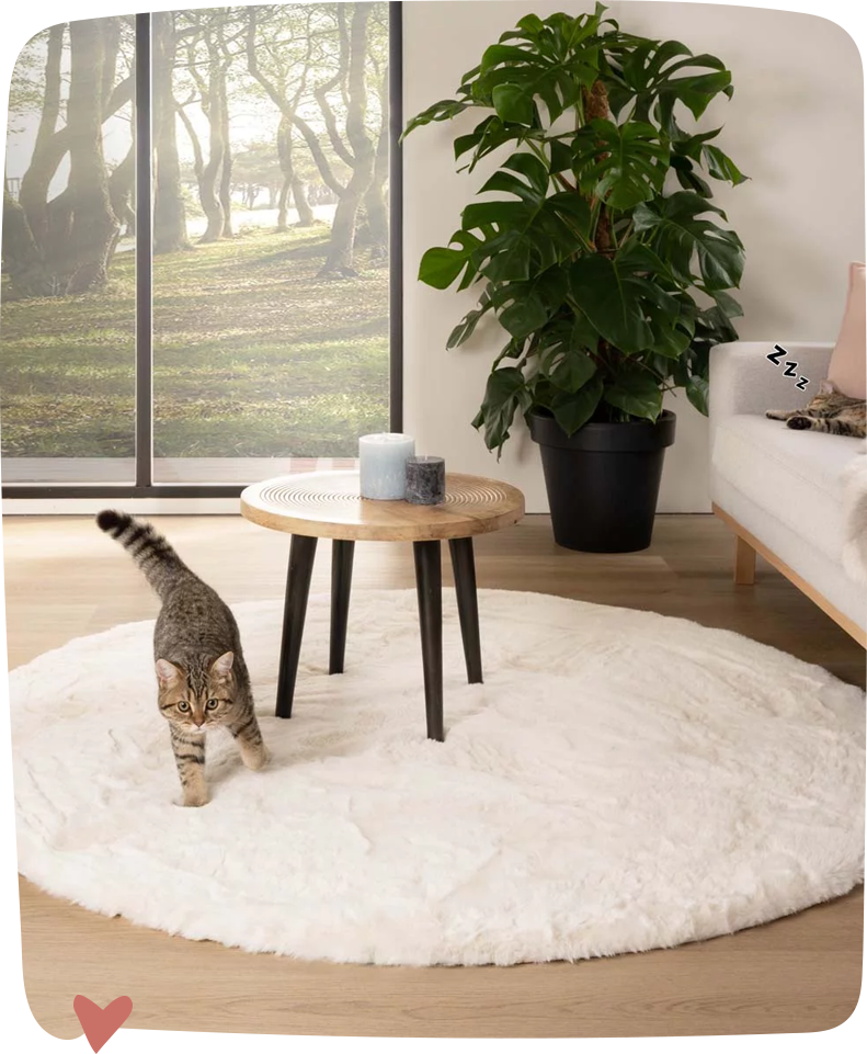 fluffy vloerkleed homepage cat